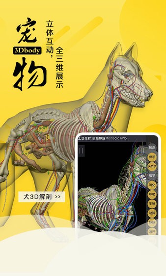 3dbody宠物1