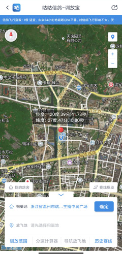 咕咕信鸽图片13