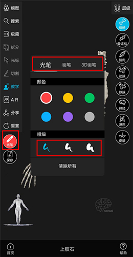 解剖大师app如何使用画笔2