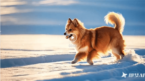 视频生成功能介绍配图2