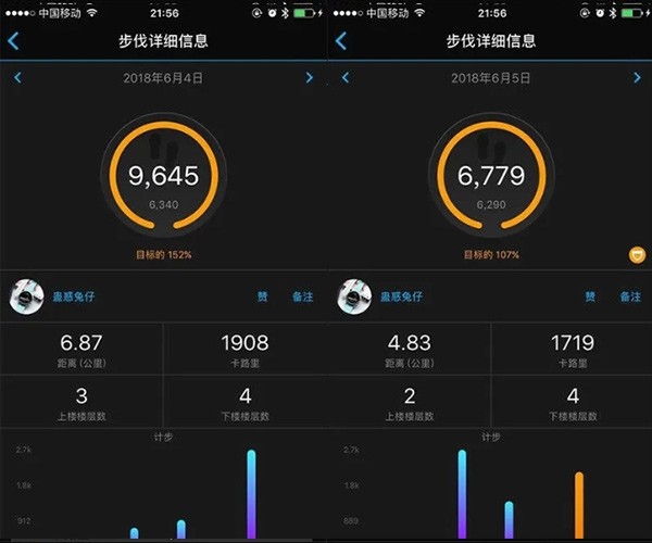 怎么查看运动数据配图4
