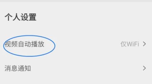 怎么关闭视频自动播放配图2