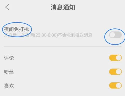 怎么开启夜间免打扰配图3