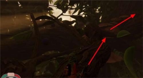 树篱实验室攻略配图4