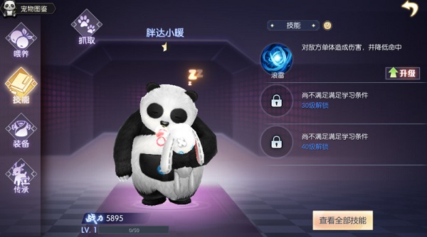 宠物系统攻略配图5