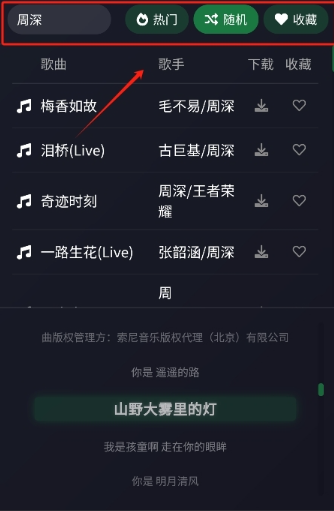 如何下载不同格式音乐配图4