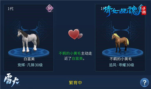 高品质马匹获取攻略配图5