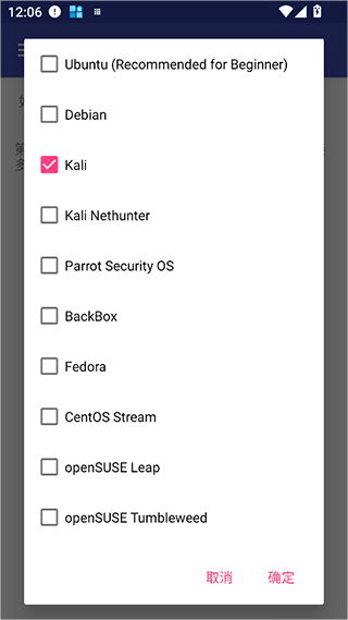 安装kali系统教程配图4