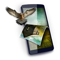 重力感应壁纸app 安卓版v20.0.0