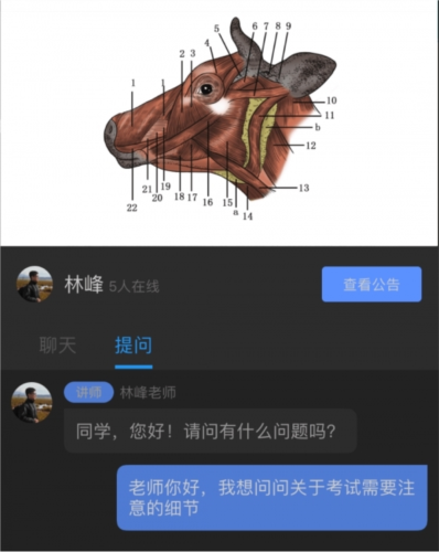 兽课网图片1