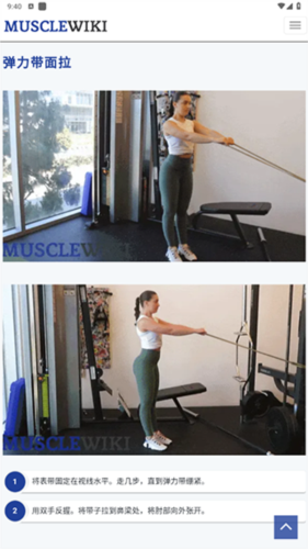 musclewiki官方版图片13