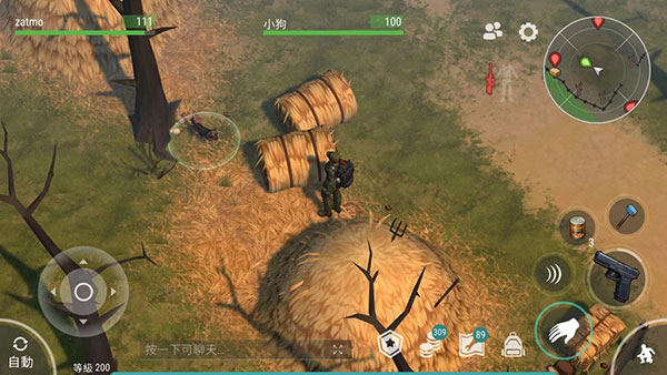 怎么获得狗狗配图3