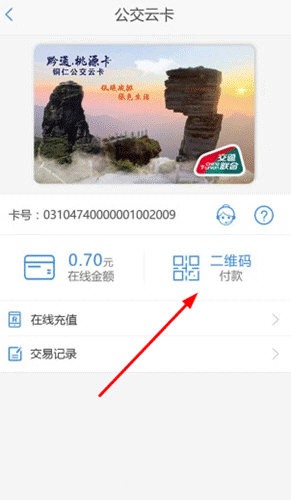 怎么用手机支付配图2