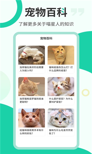 图饰猫翻译图片7