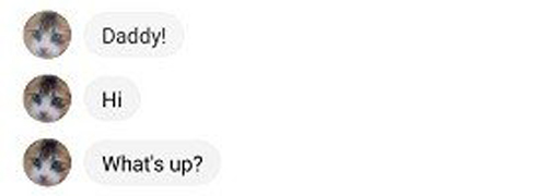 MeowTalk软件图片3