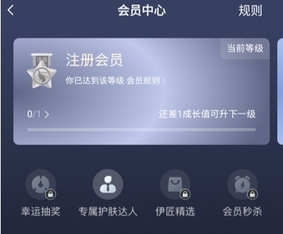 怎么样算VIP配图1