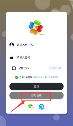 注册教程配图2