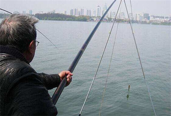 钓鱼新手入门配图2