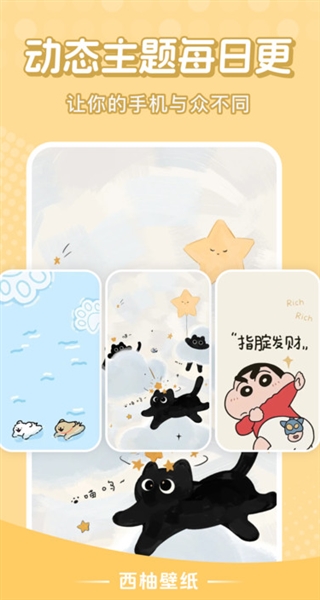 西柚壁纸宣传图