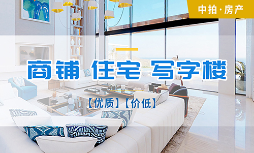 中拍平台app拍卖规则