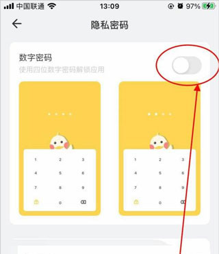 如何设置隐私密码配图2