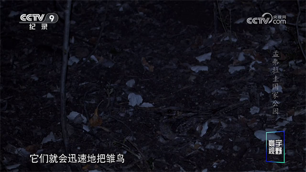 怎么看直播配图1