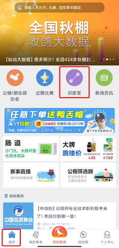 咕咕信鸽图片12