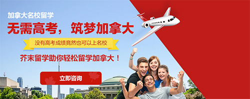 芥末留学app宣传图