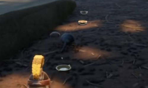 怎么驯服宠物配图4