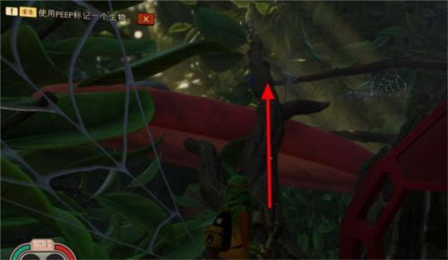 树篱实验室攻略配图5