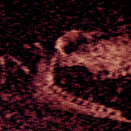 铁肺Iron Lung游戏 正版v1.10