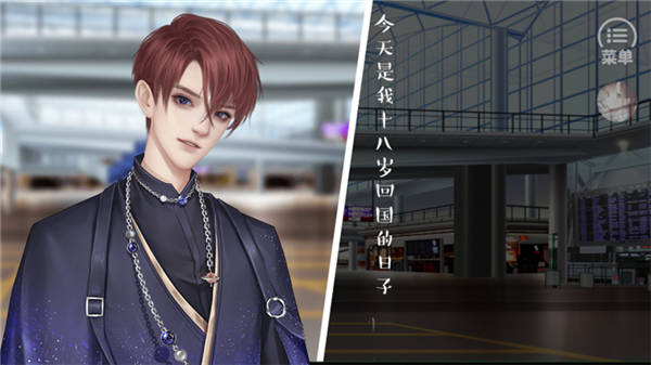 王子的爱情故事宣传图