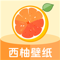 西柚壁纸app