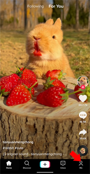 TikTok极速版图片6