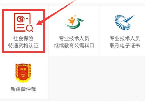 新疆智慧人社app8