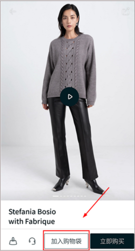 Fabrique购物教程2