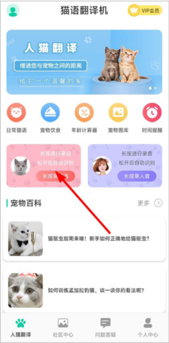图饰猫翻译图片3