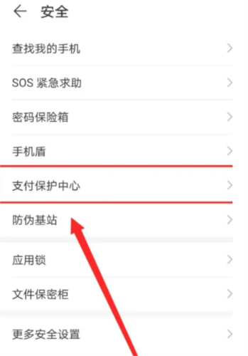 如何开启支付保护配图1