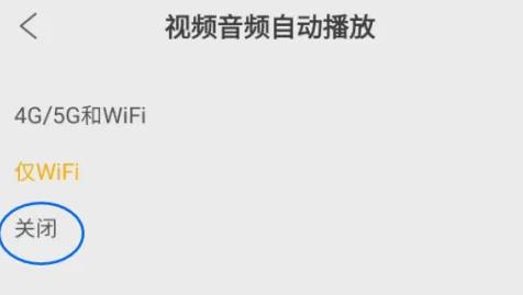 怎么关闭视频自动播放配图3