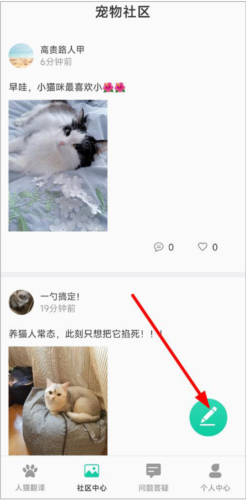 图饰猫翻译图片5
