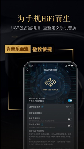 VIPERHiFiapp宣传图
