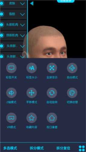 医维度3d人体解剖使用教程4