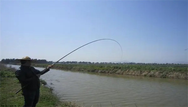 钓鱼新手入门配图3