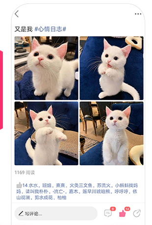 第四爱app使用说明