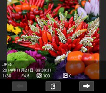 Canon Camera Connect1