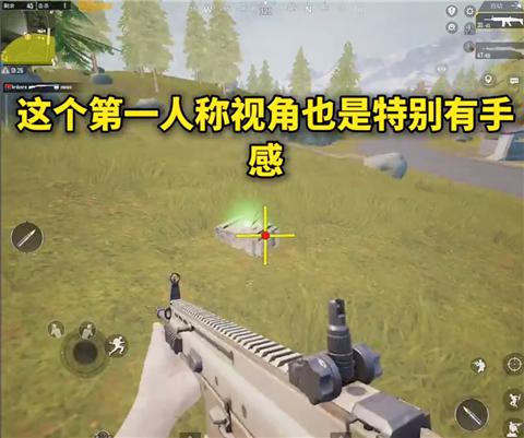 画质mxpro定制版