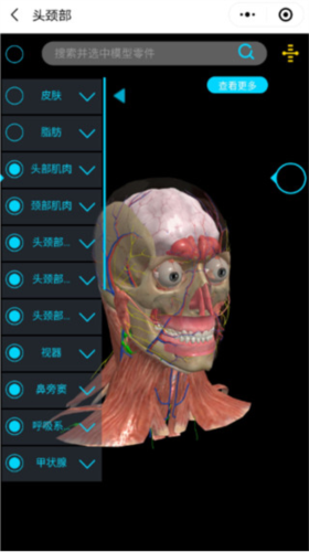 医维度3d人体解剖使用教程1