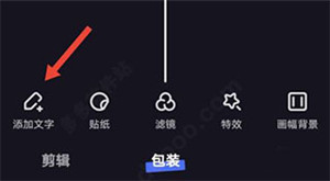 文字添加教程配图2