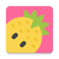 开菠萝app 绿色版v3.1.1
