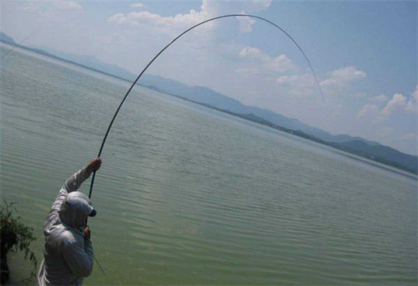 钓鱼新手入门配图1